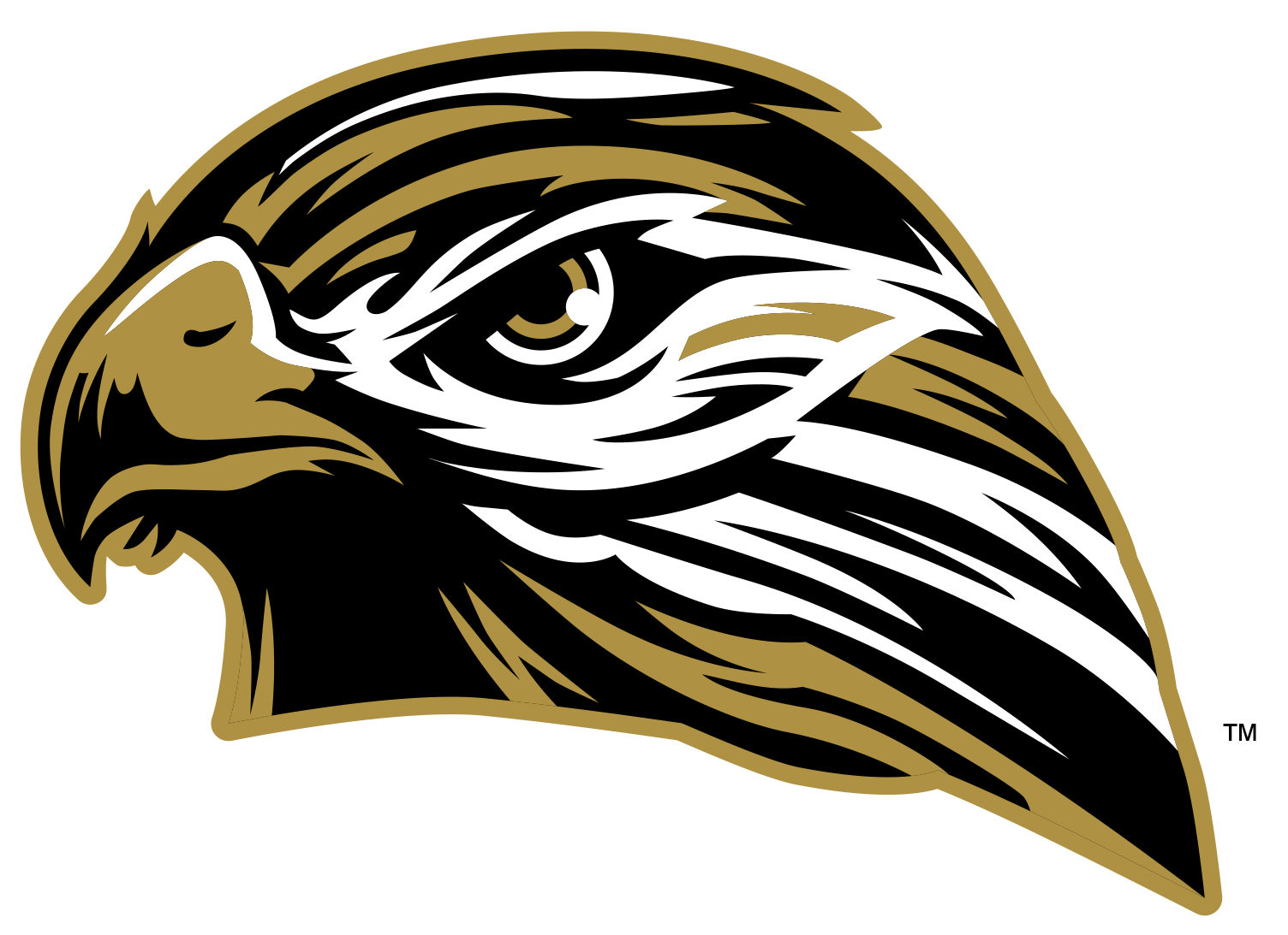 Horace High School "Hawks" Horace, North Dakota Shanley TV